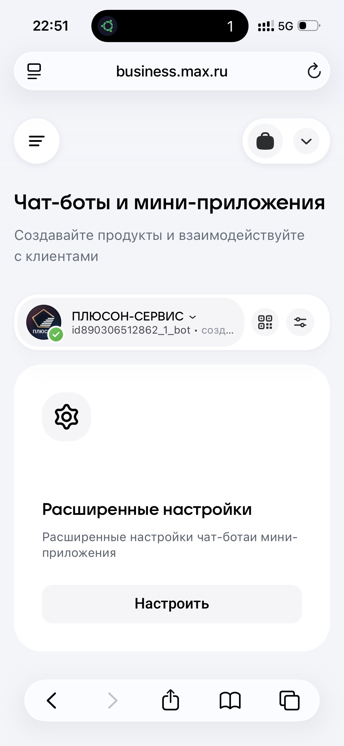 Раздел «Чат-боты и мини-приложения»: карточка бота и блок «Расширенные настройки»